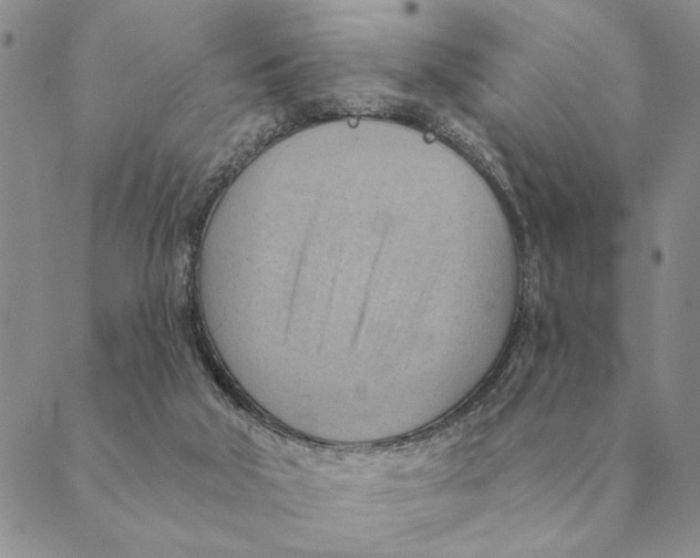 X0000088830018200707051433