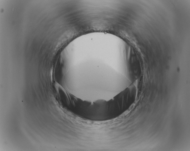 X0000088830019200707051433