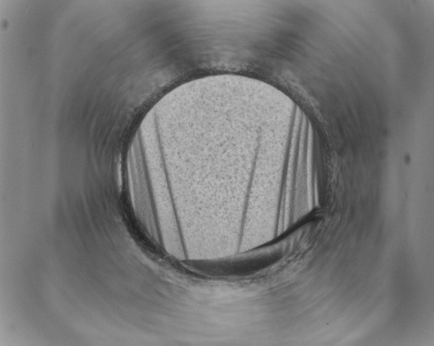 X0000088830020200707051433