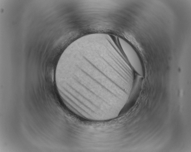 X0000088830021200707051433