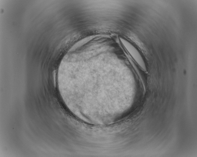 X0000088830022200707051433