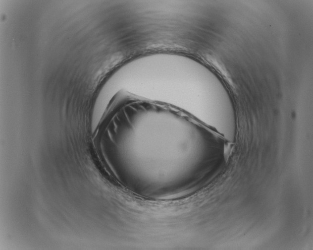 X0000088830023200707051433