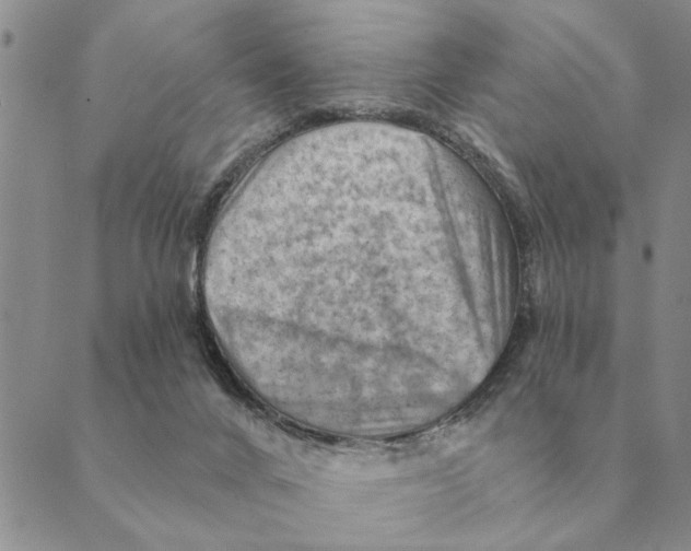 X0000088830024200707051433