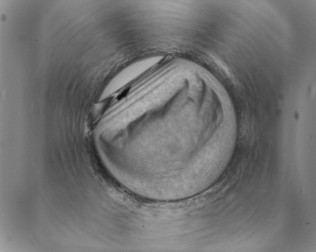 X0000088830025200707051433