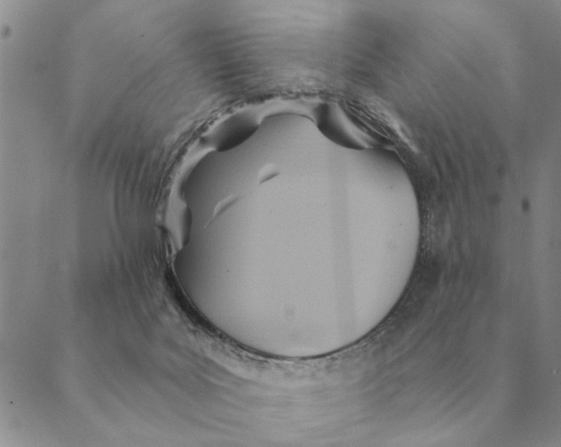 X0000088830027200707051433