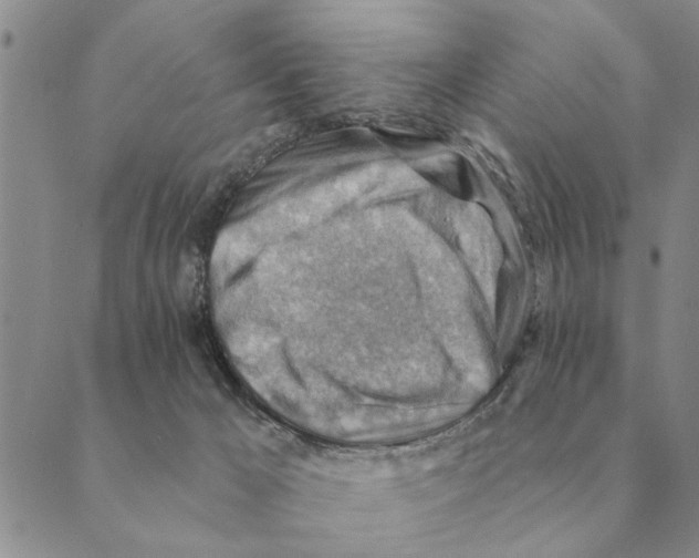 X0000088830029200707051433