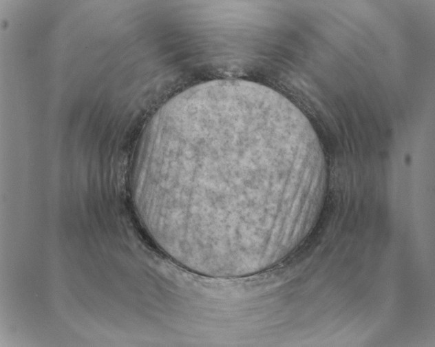 X0000088830030200707051433