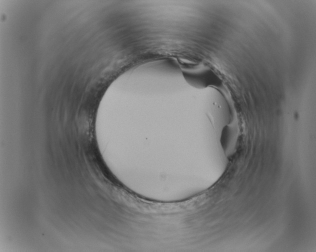 X0000088830031200707051433