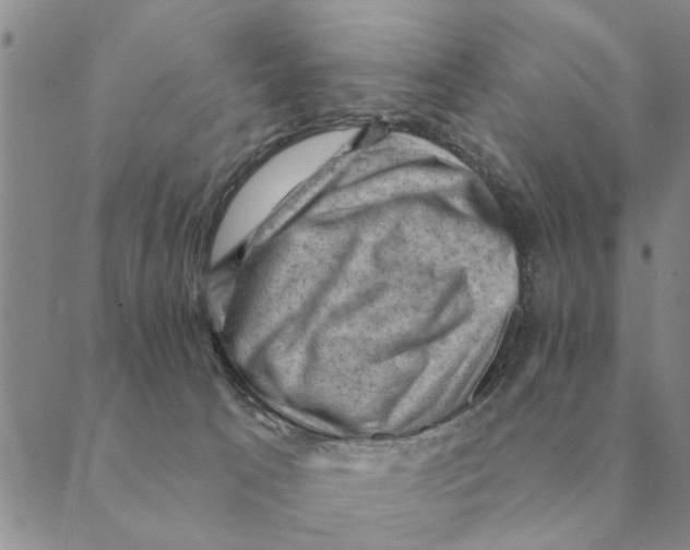 X0000088830033200707051433