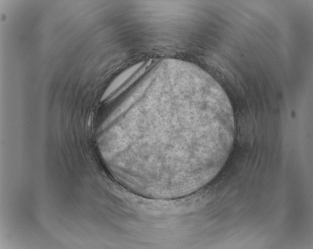 X0000088830034200707051433