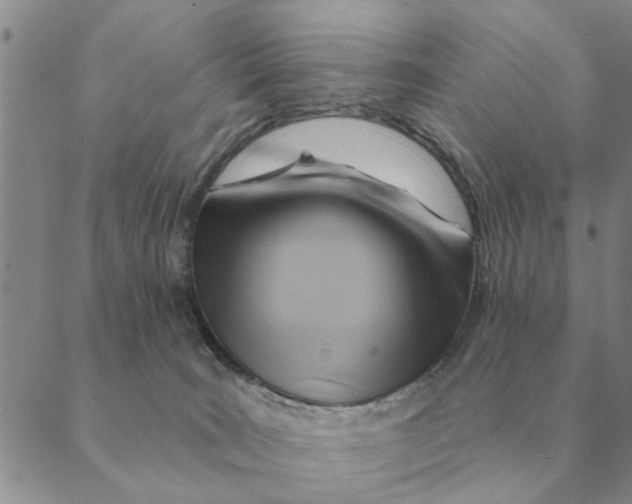 X0000088830035200707051433