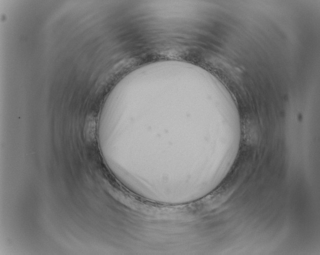 X0000088830036200707051433