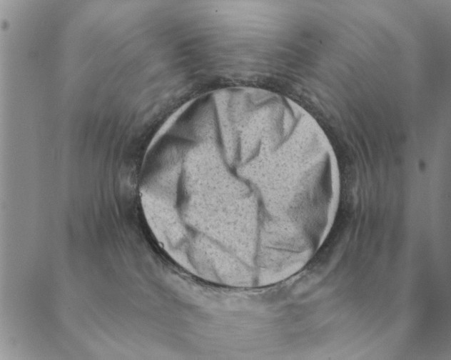 X0000088830040200707051433