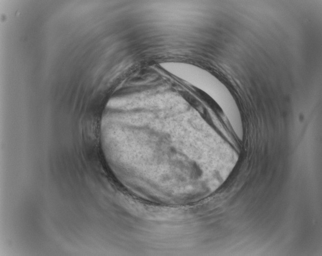 X0000088830044200707051433