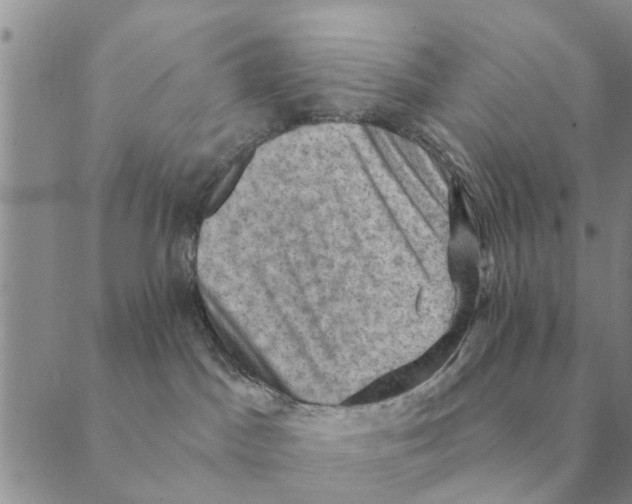 X0000088830045200707051433