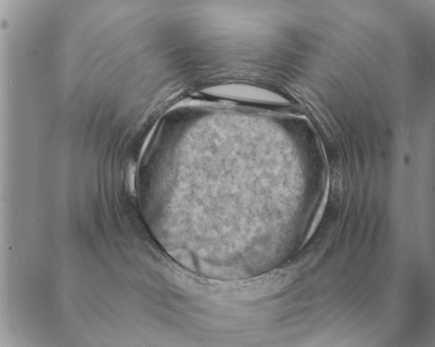 X0000088830046200707051433