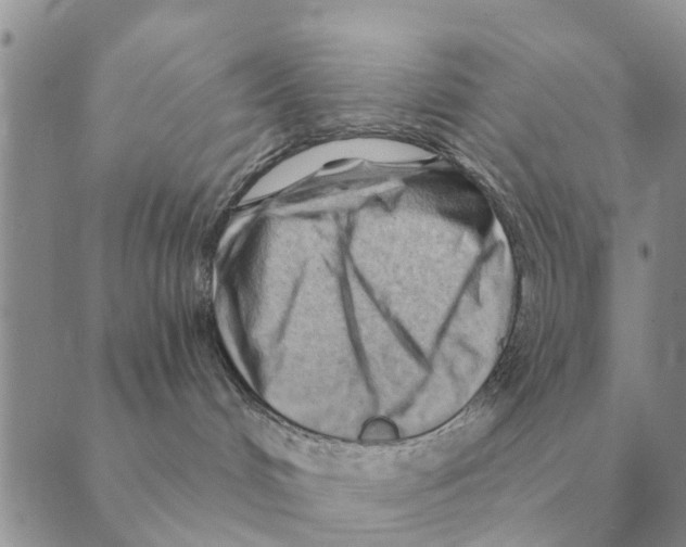 X0000088830048200707051433