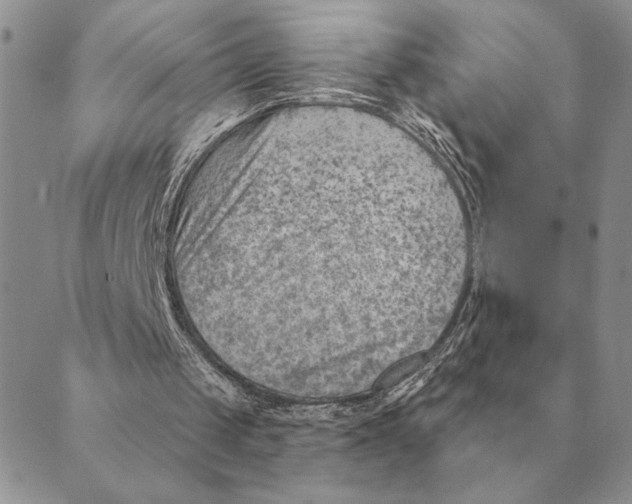 X0000088830049200707051432