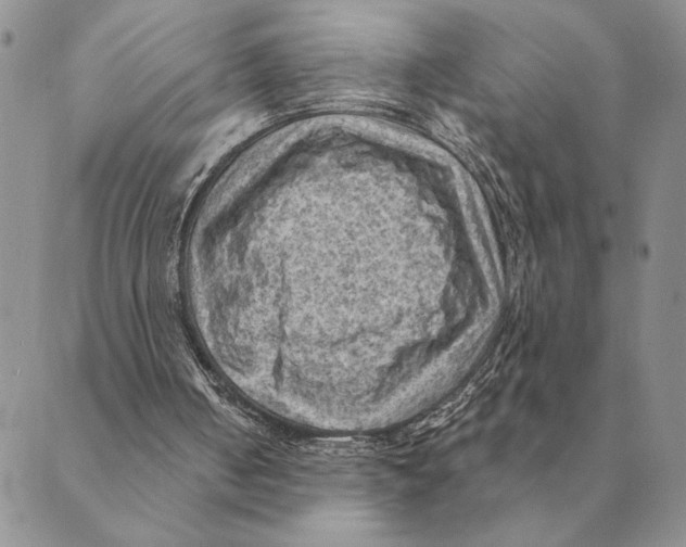 X0000088830050200707051432