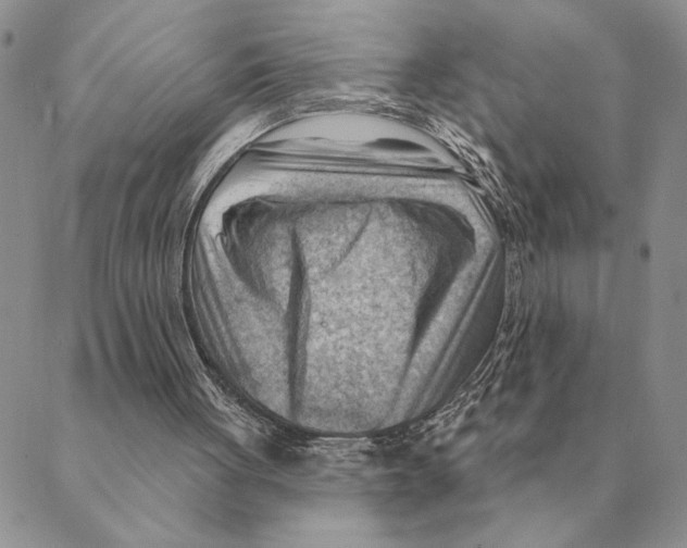 X0000088830051200707051432