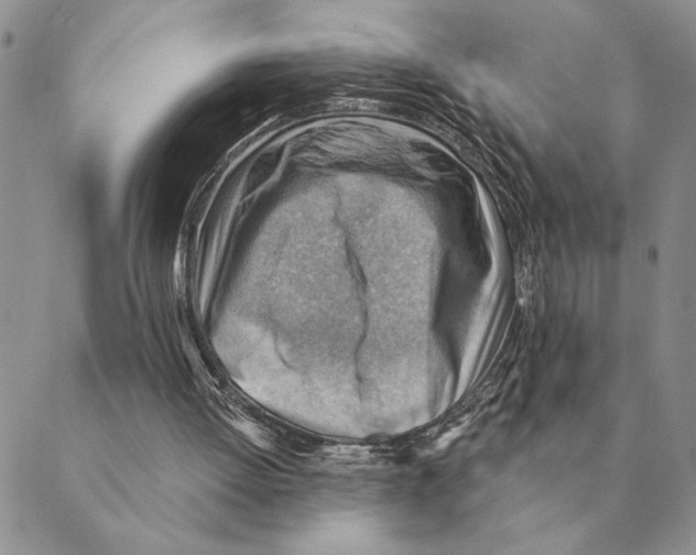 X0000088830052200707051432