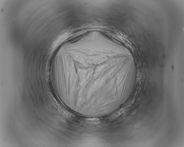 X0000088830053200707051432