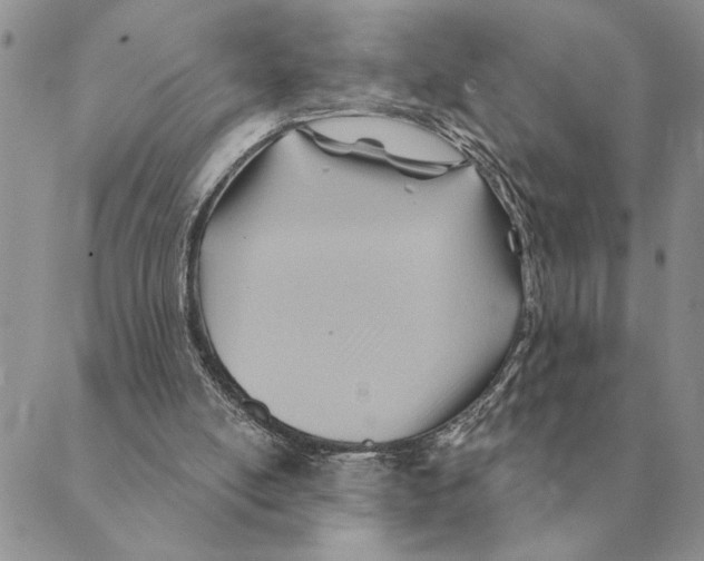 X0000088830054200707051432