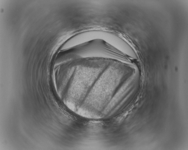 X0000088830055200707051432