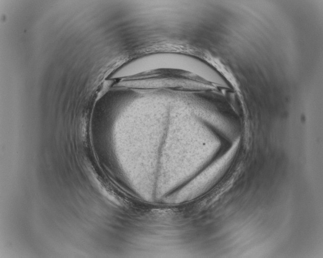 X0000088830057200707051432