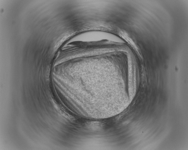 X0000088830058200707051432