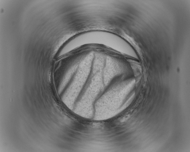 X0000088830060200707051432