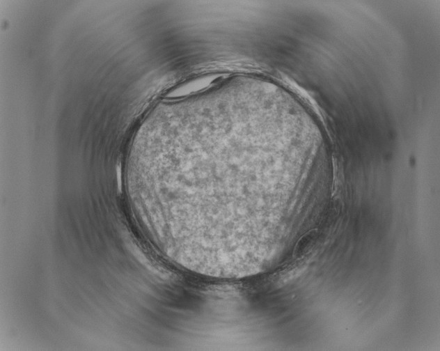 X0000088830061200707051432