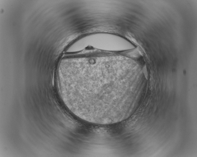 X0000088830062200707051432