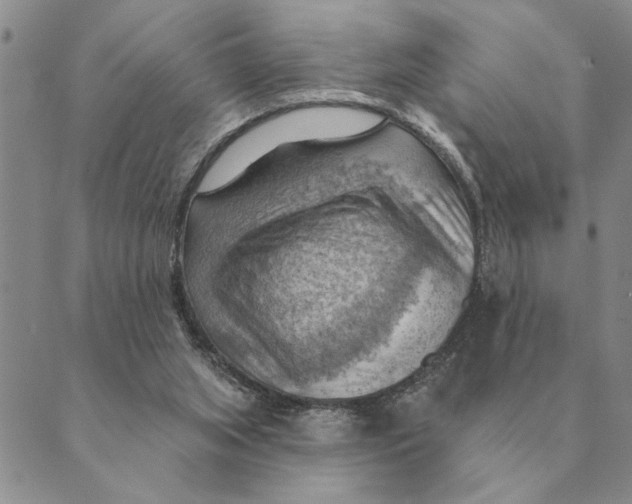 X0000088830063200707051432