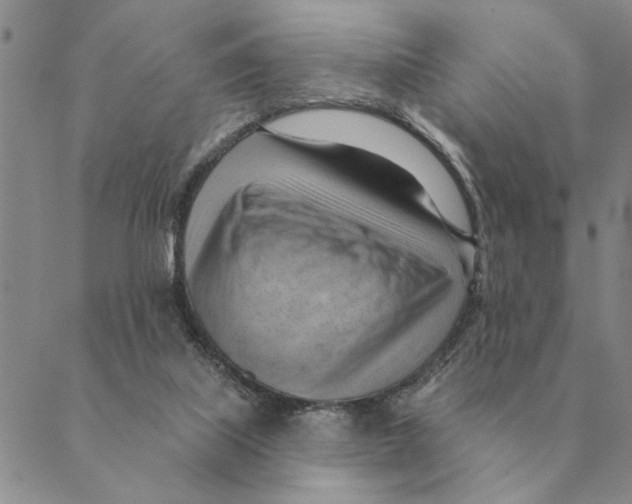 X0000088830067200707051432