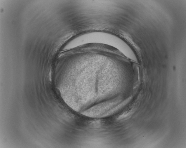 X0000088830068200707051432