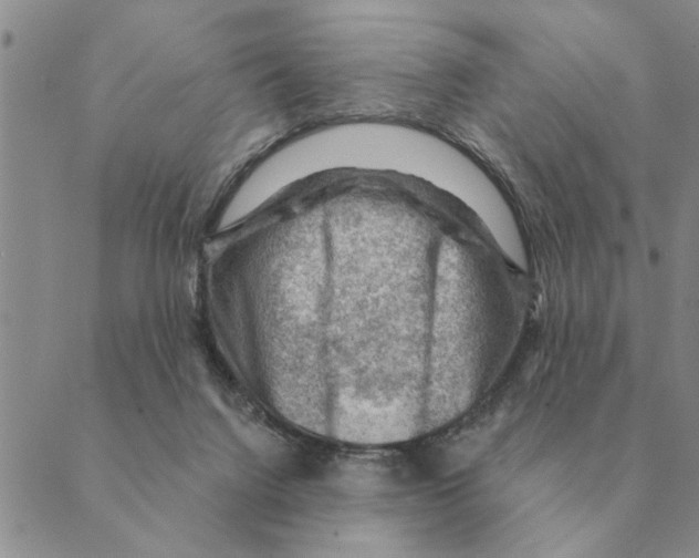 X0000088830072200707051432