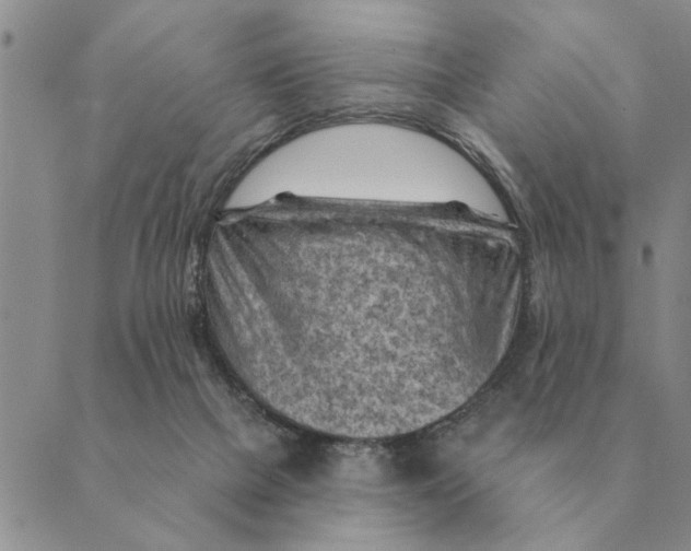 X0000088830073200707051432