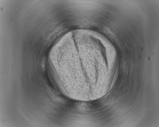 X0000088830074200707051432