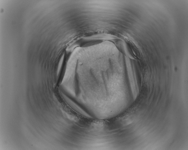 X0000088830076200707051432