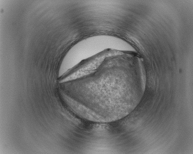 X0000088830077200707051432