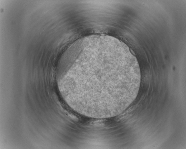 X0000088830078200707051432