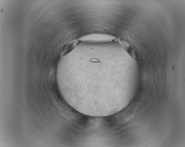 X0000088830079200707051433