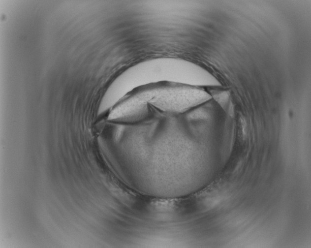 X0000088830084200707051433