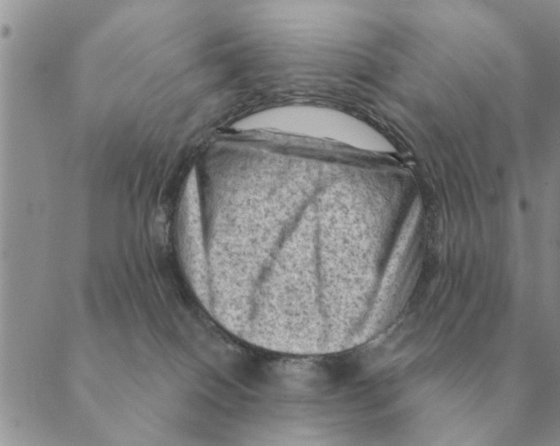 X0000088830086200707051433