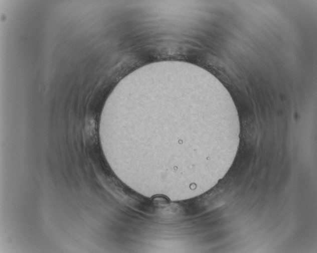 X0000088830087200707051433