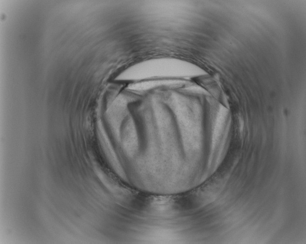 X0000088830088200707051433