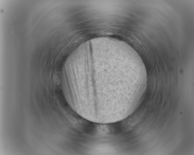 X0000088830091200707051433