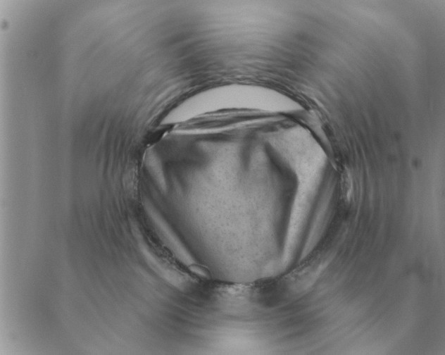 X0000088830092200707051433