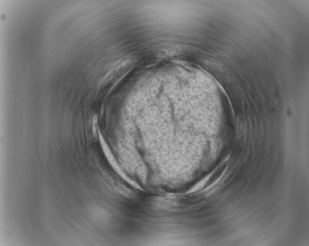 X0000088830094200707051433